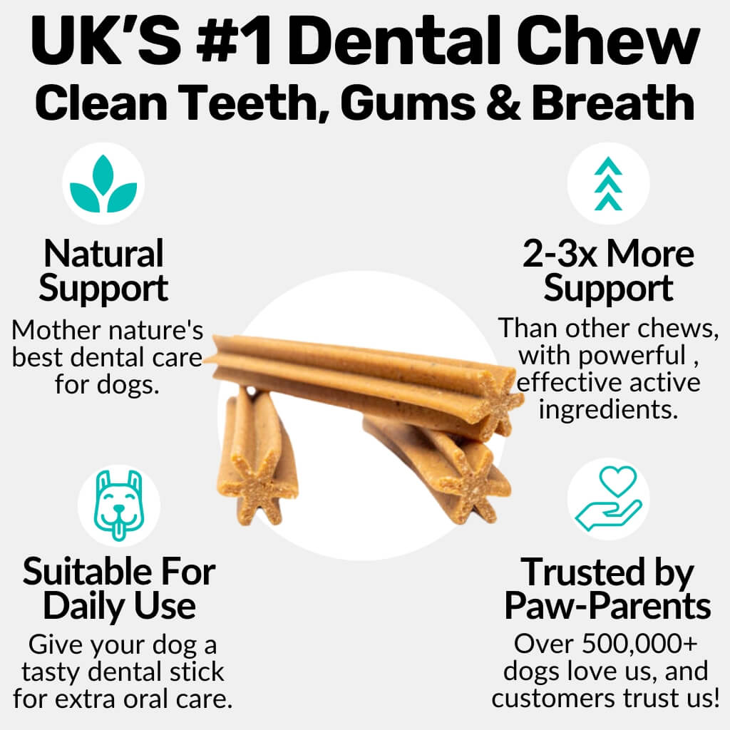 Pet Dental Sticks product image 5