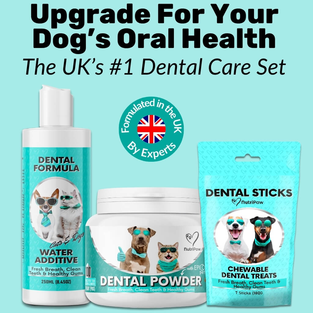 Pet Dental Sticks product image 6
