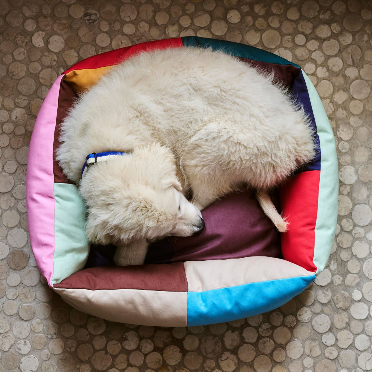 Dog Bed product image 3