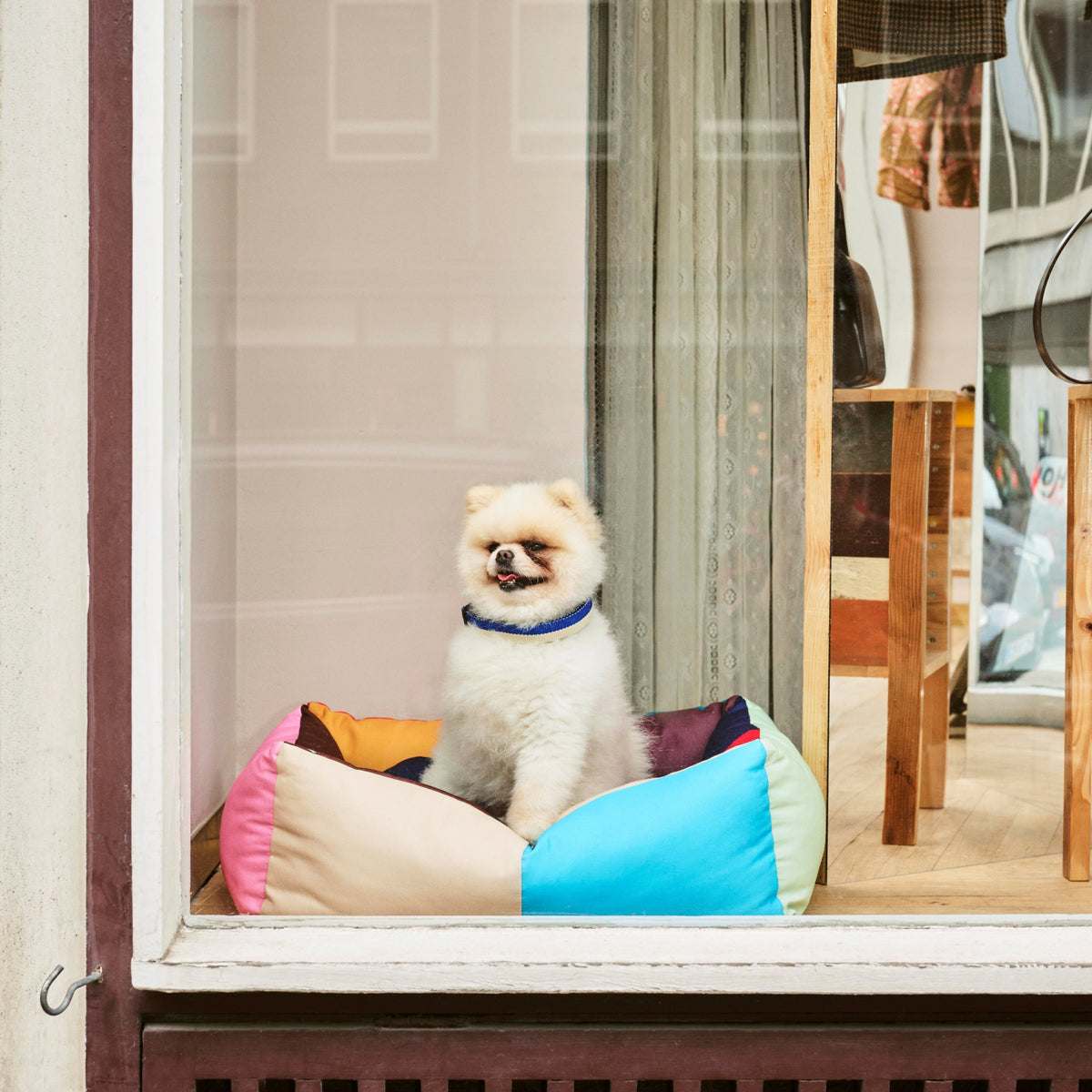 Dog Bed product image 7