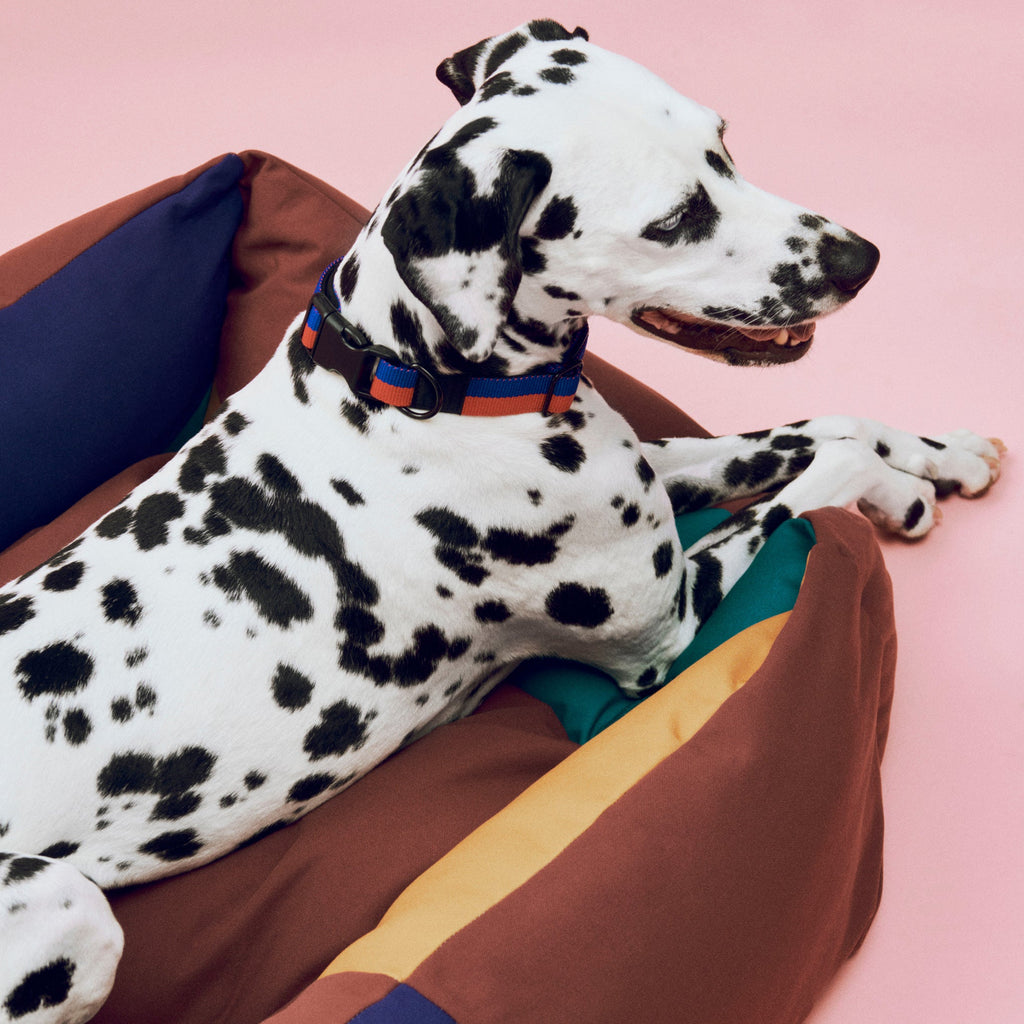 Dog Bed product image 8