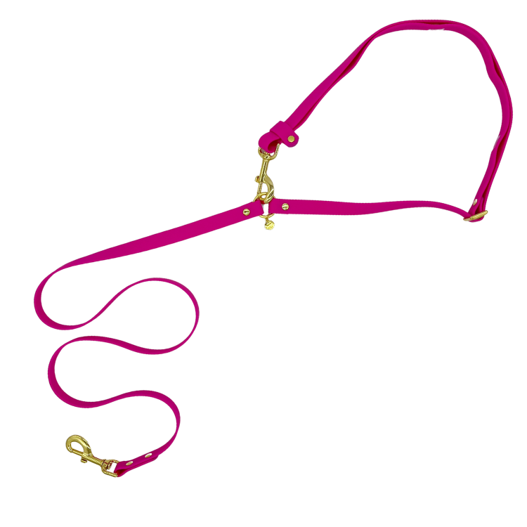 Hands-Free Dog Leash product image 3