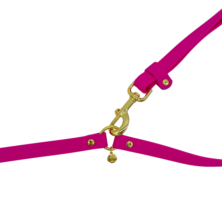 Hands-Free Dog Leash product image 4