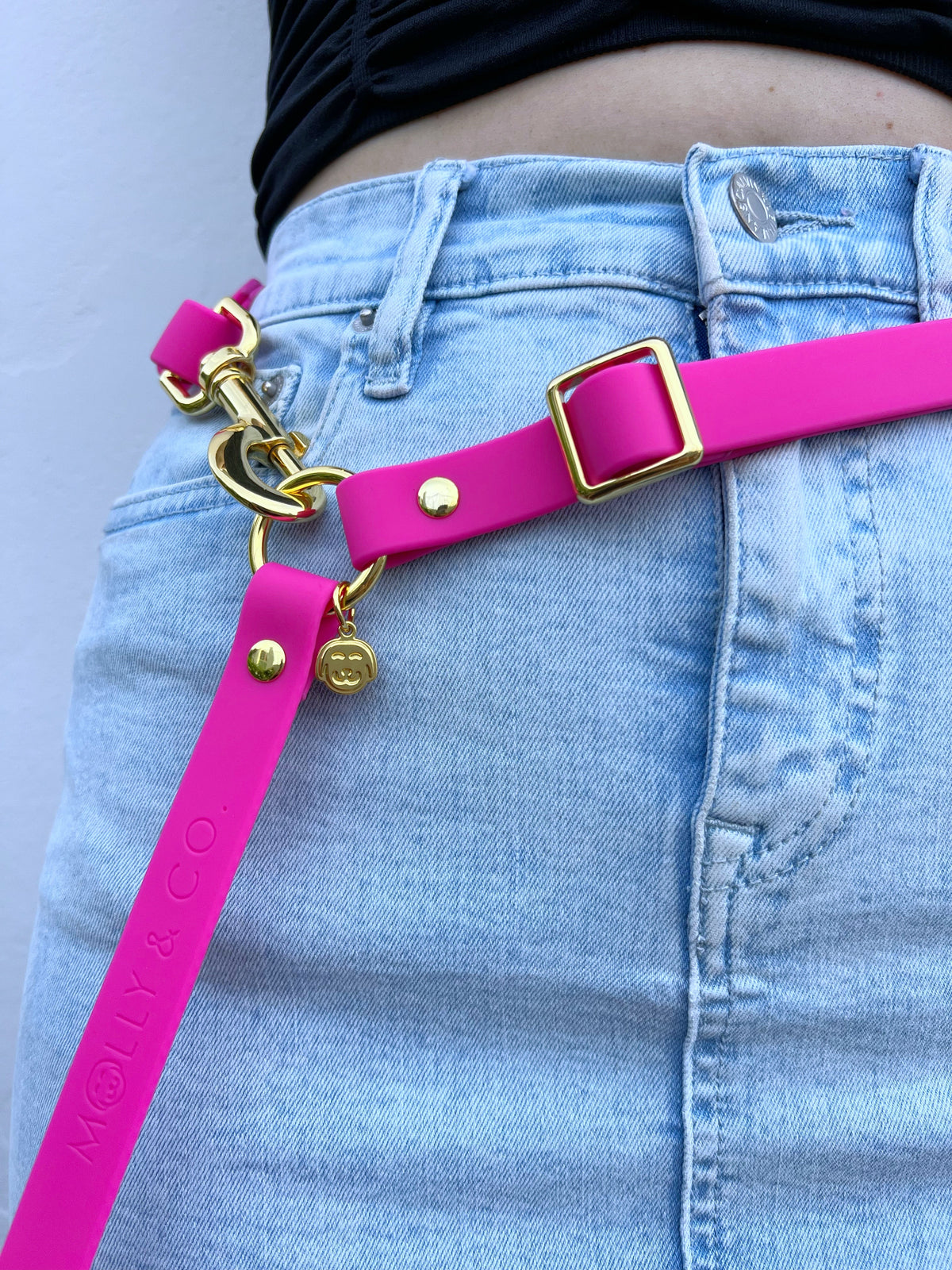 Hands-Free Dog Leash product image 5