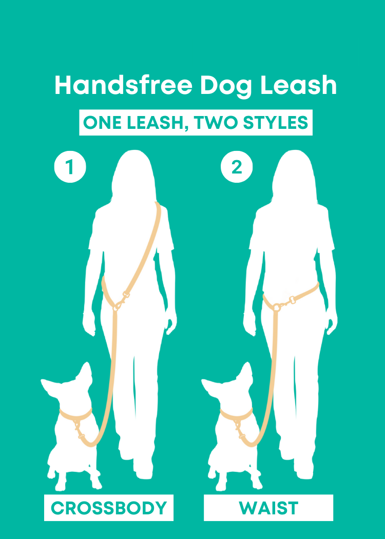 Hands-Free Dog Leash product image 8