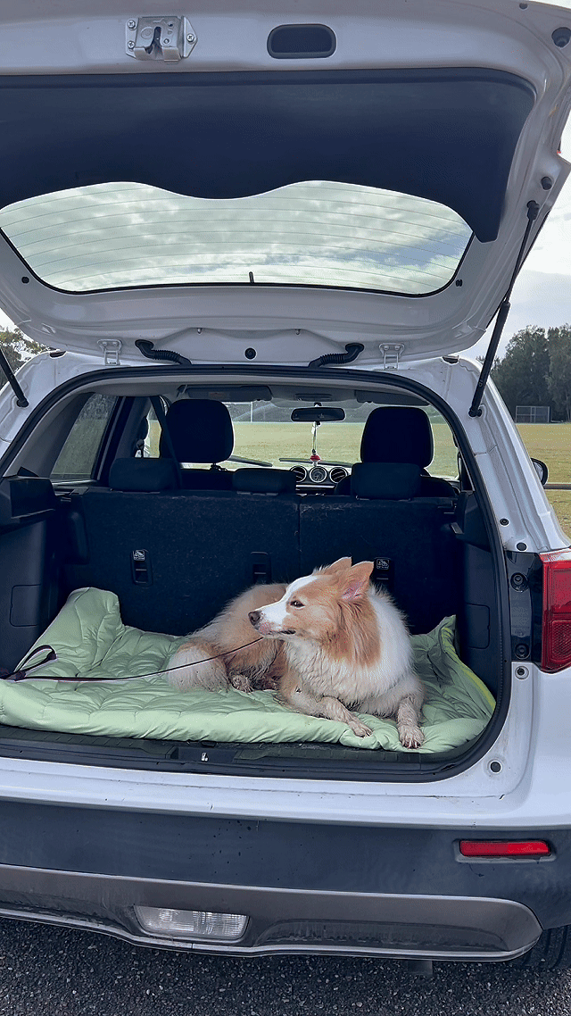 Dog Cooling Mat product image 2