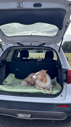 Dog Cooling Mat product image 2