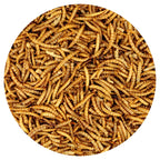Bulk Dried Mealworms for Poultry and Wild Birds product image 6