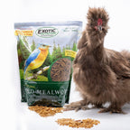 Bulk Dried Mealworms for Poultry and Wild Birds product image 7