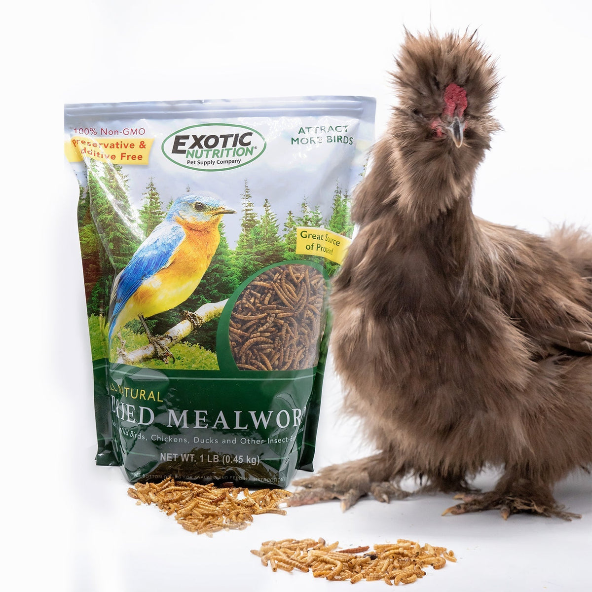 Bulk Dried Mealworms for Poultry and Wild Birds product image 7