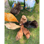 Bulk Dried Mealworms for Poultry and Wild Birds product image 9