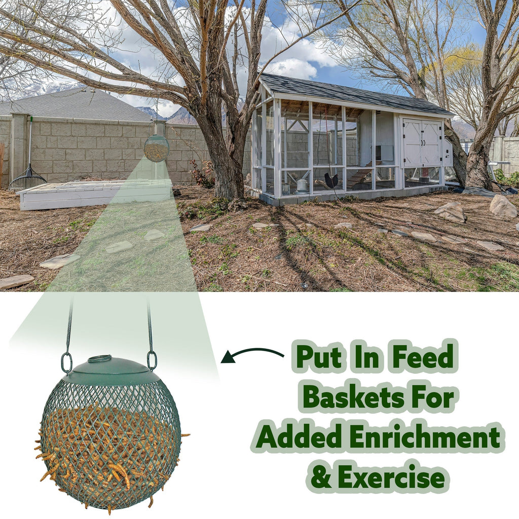 Bulk Dried Mealworms for Poultry and Wild Birds product image 10