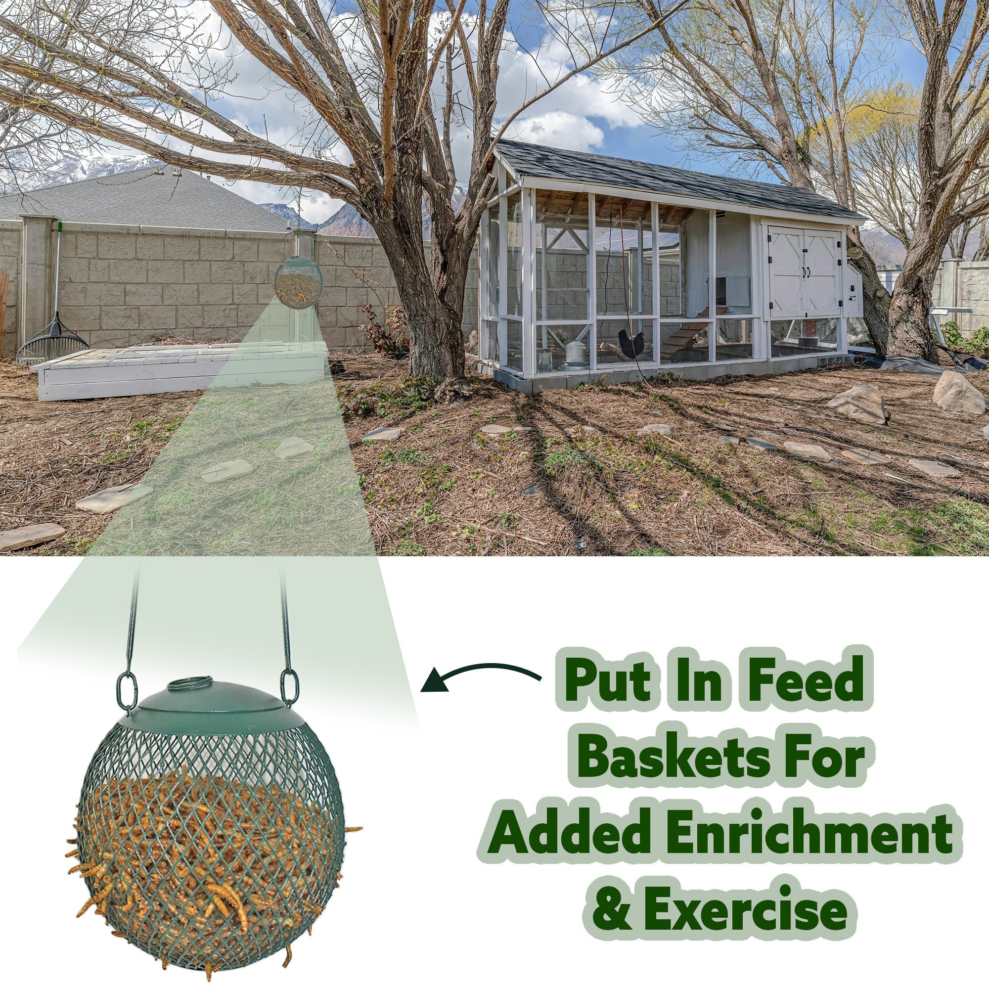 Bulk Dried Mealworms for Poultry and Wild Birds product image 10