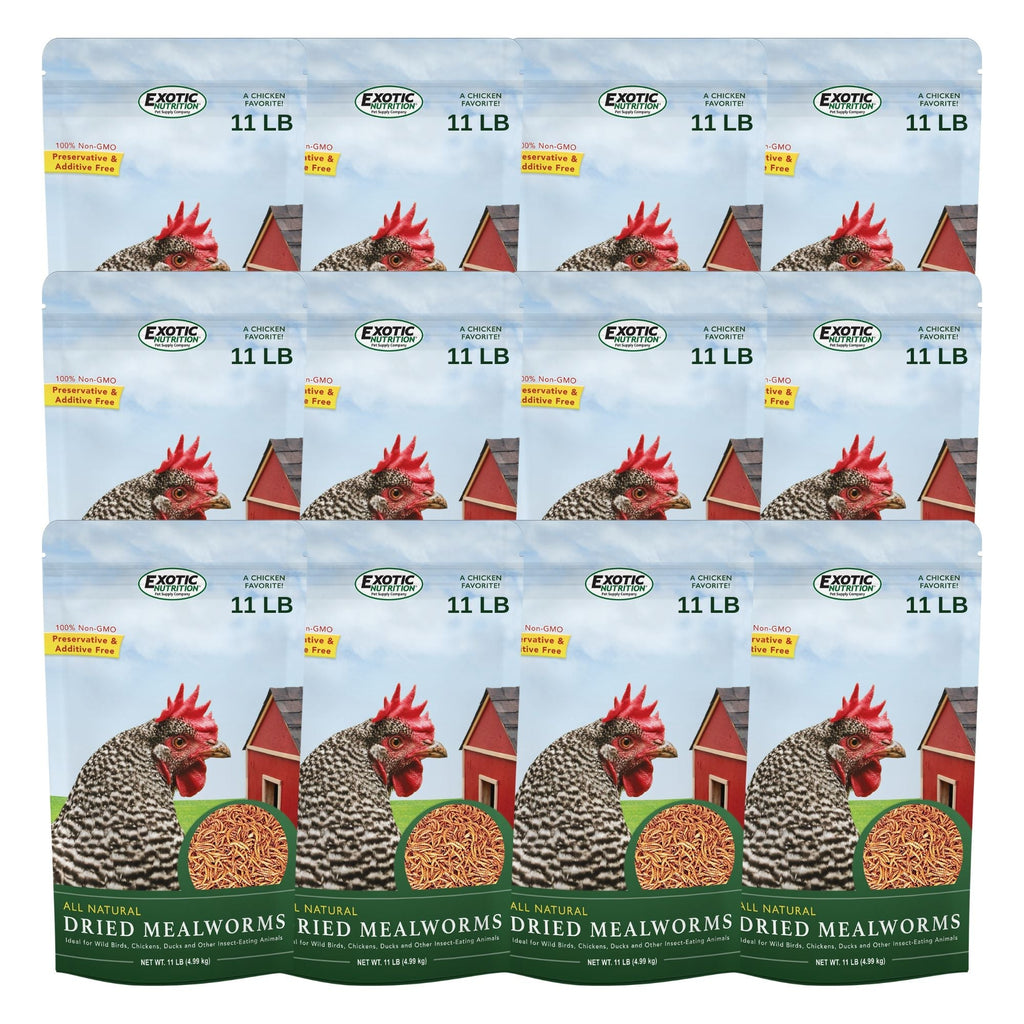 Bulk Dried Mealworms for Poultry and Wild Birds product image 18