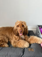 Dog Crate Bed product image 6