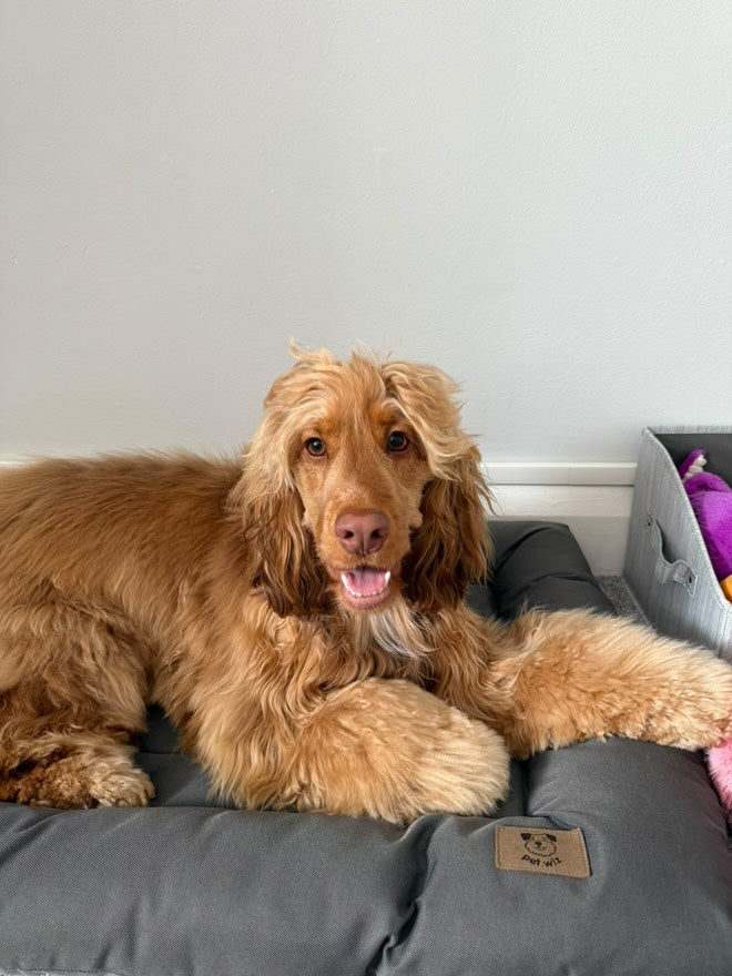 Dog Crate Bed product image 6