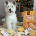 Interactive Dog Chew Toy product image 1