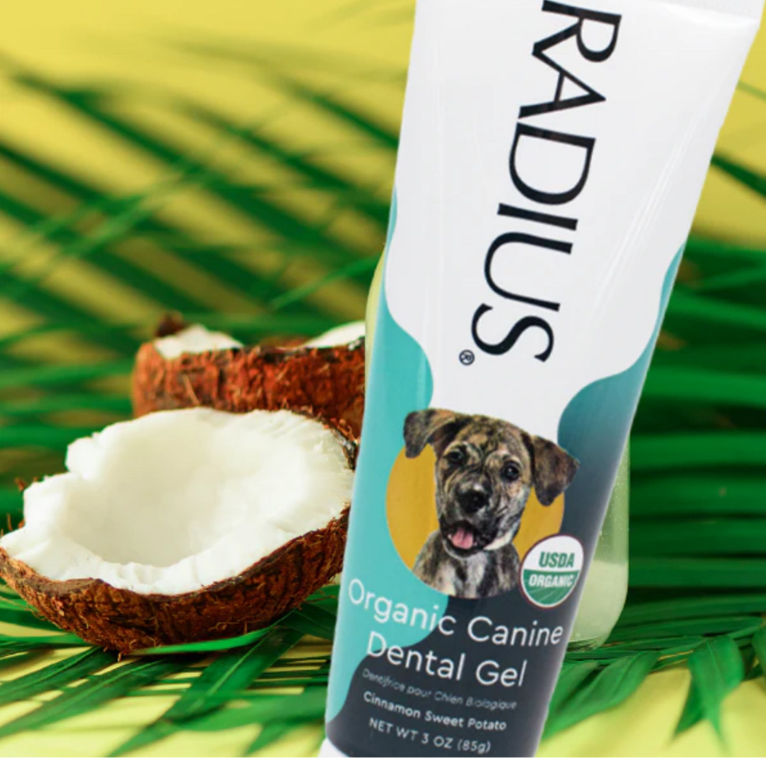 Dog Toothpaste product image 4