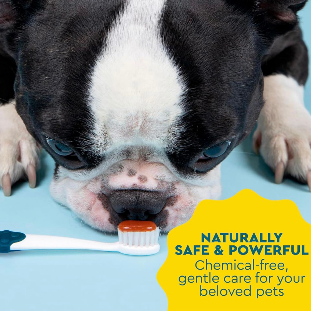 Dog Toothpaste product image 5
