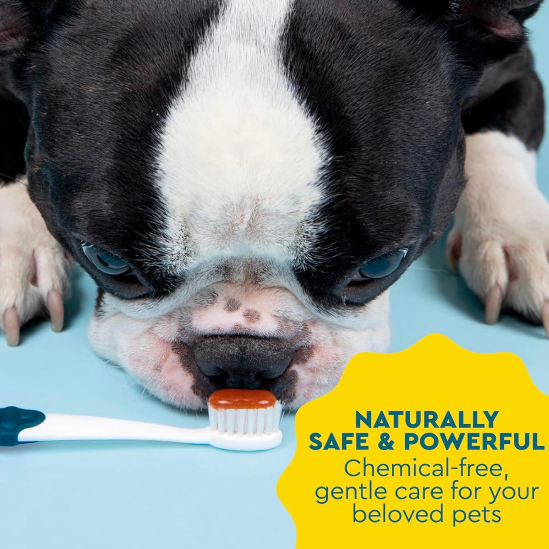Dog Toothpaste product image 5