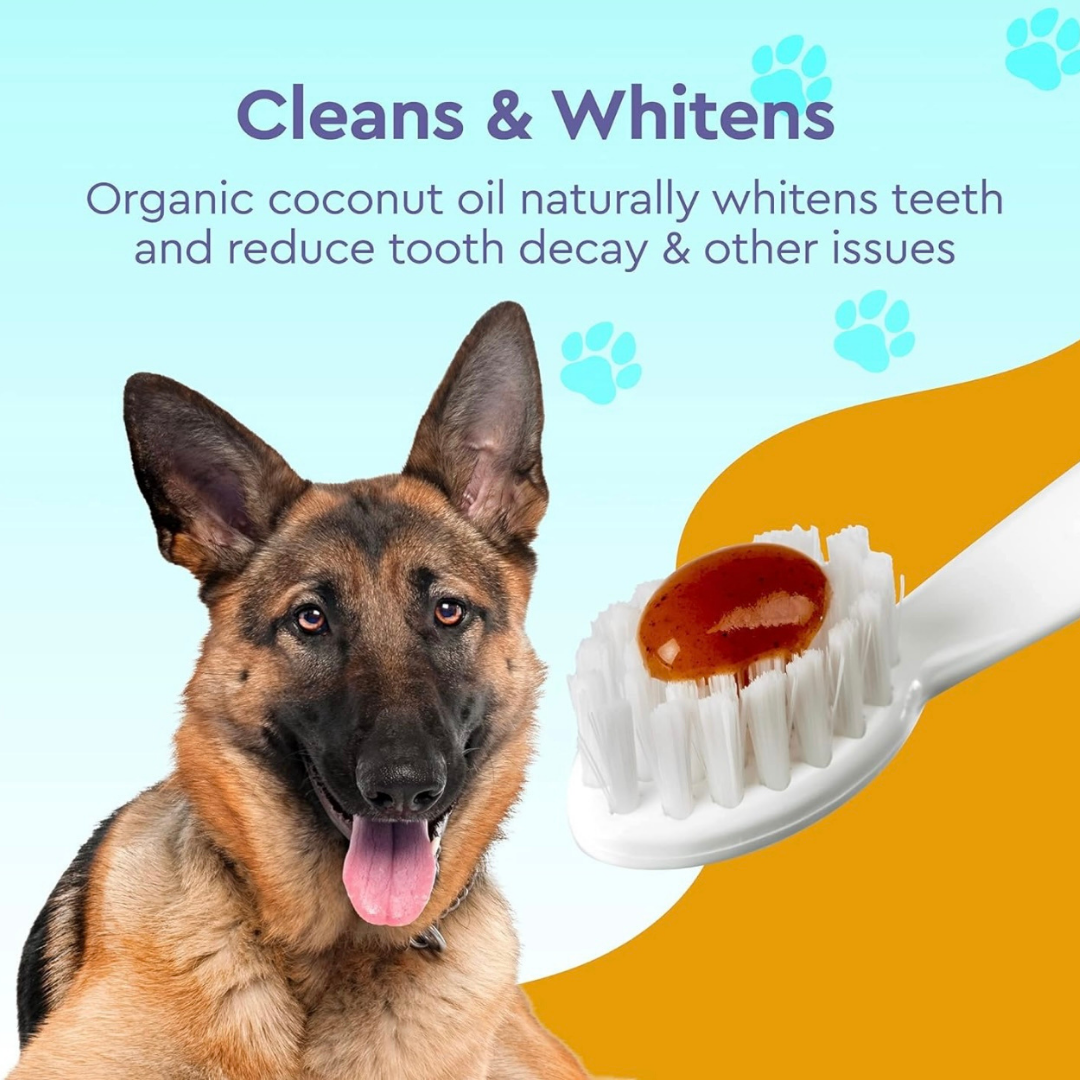 Dog Toothpaste product image 9