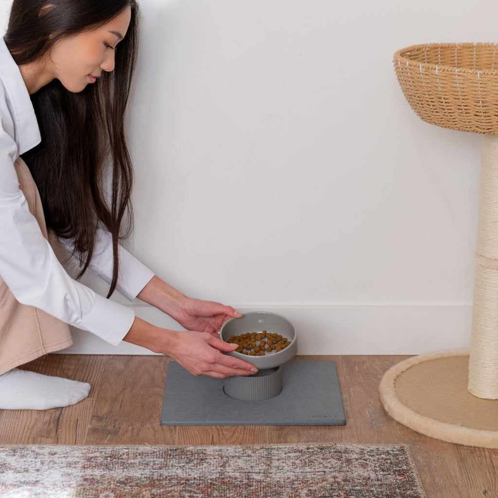 Elevated Cat Bowl product image 3