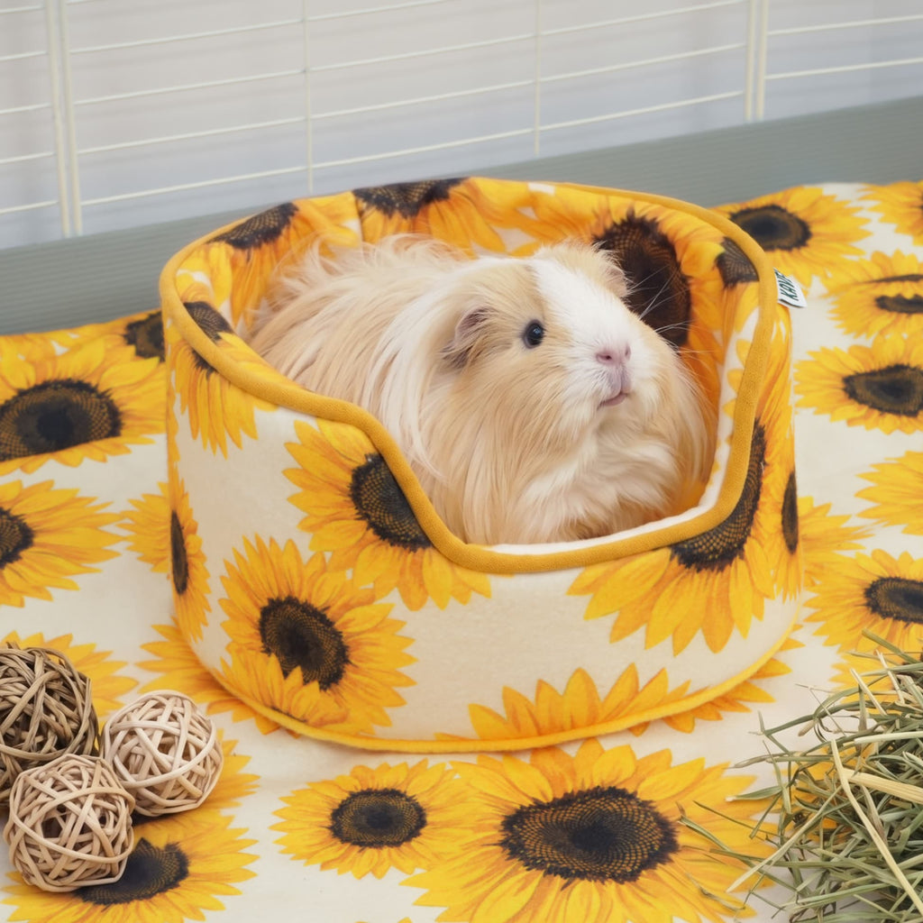 Guinea Pig Cuddle Cup product image 2