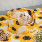 Guinea Pig Cuddle Cup product image 2