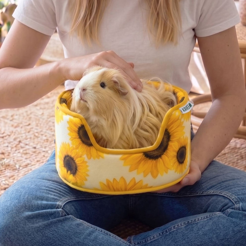 Guinea Pig Cuddle Cup product image 6
