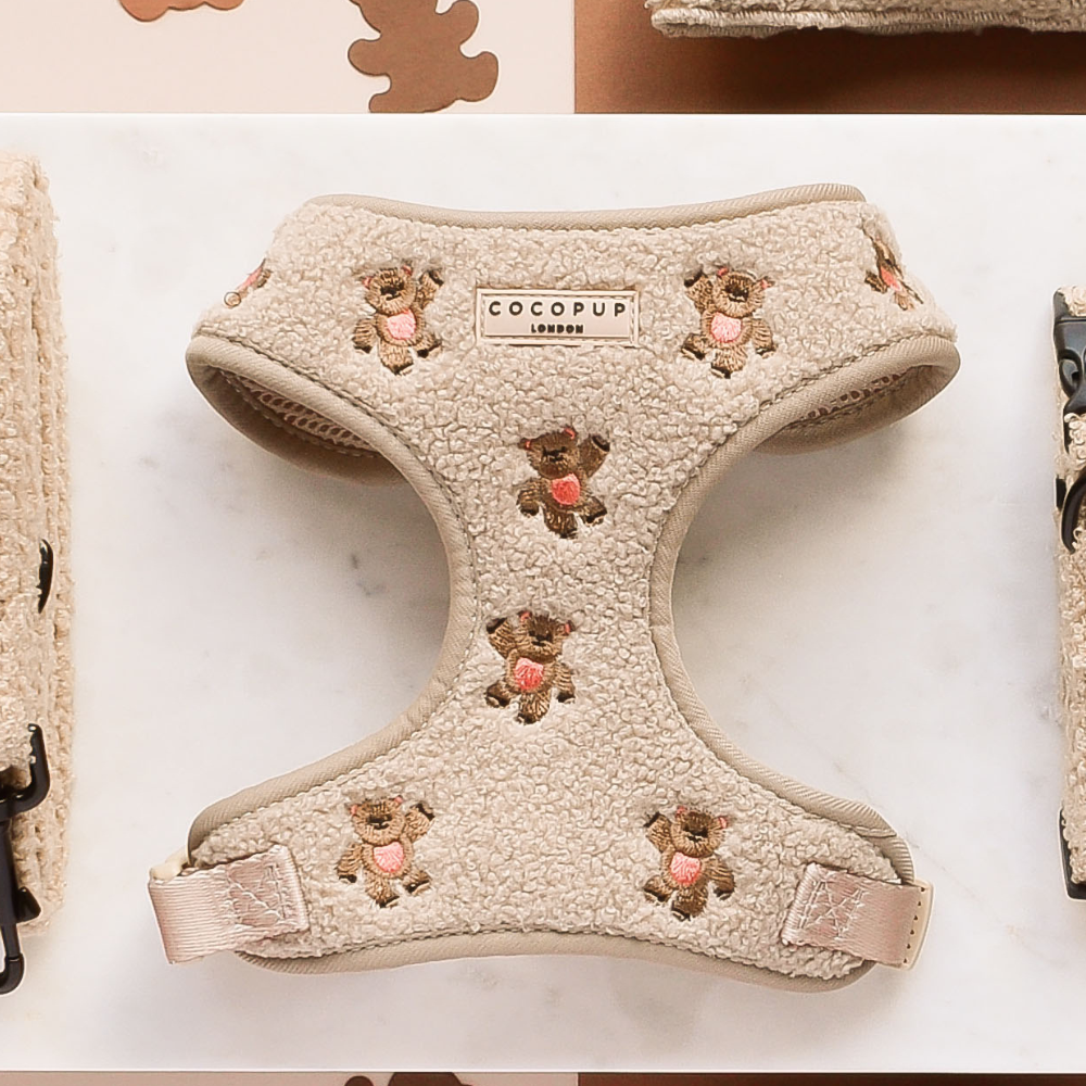 Embroidered Teddy Adjustable Dog Harness product image 1