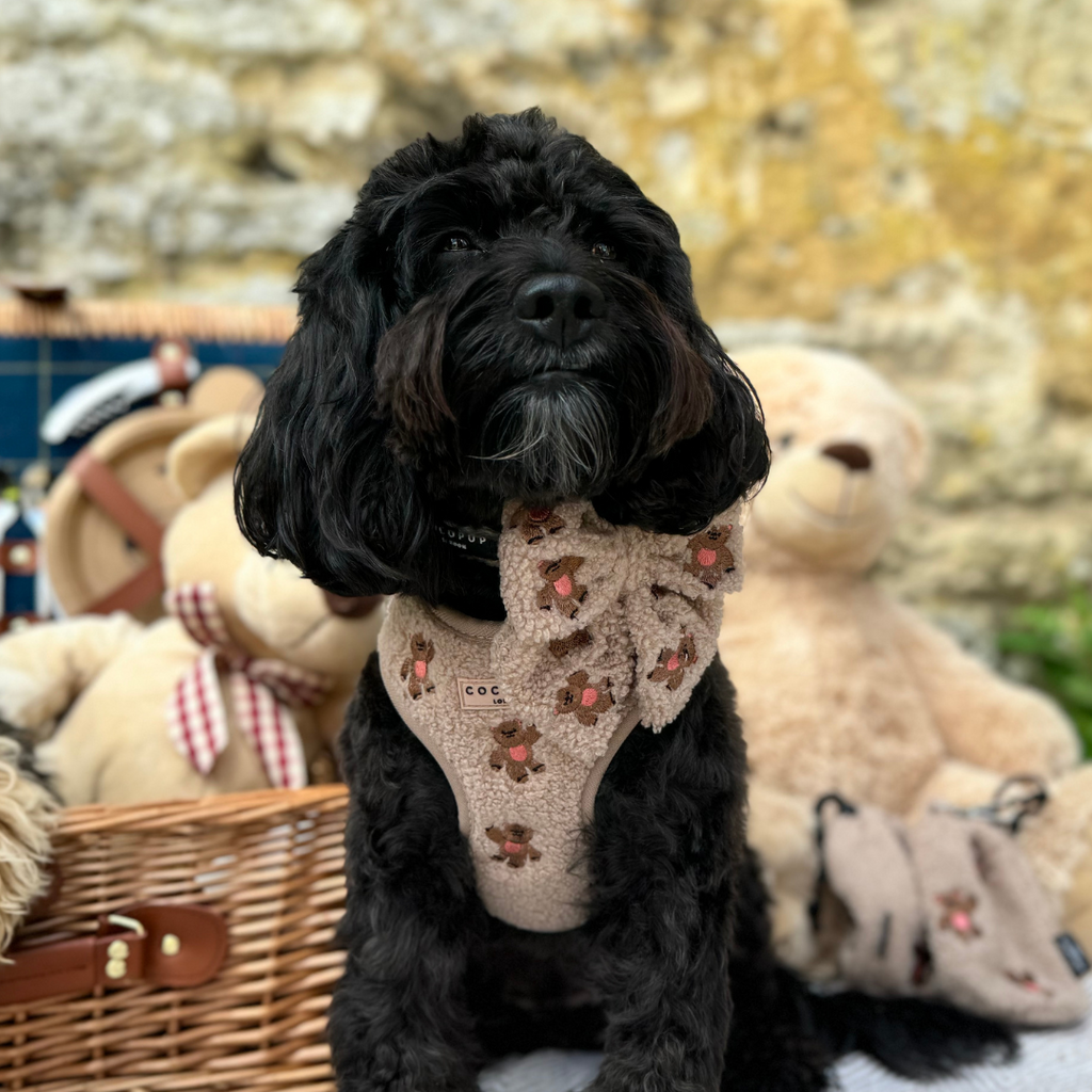 Embroidered Teddy Adjustable Dog Harness product image 5