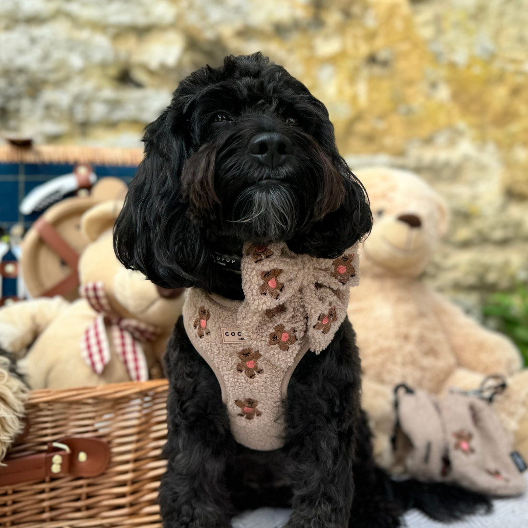 Embroidered Teddy Adjustable Dog Harness product image 5