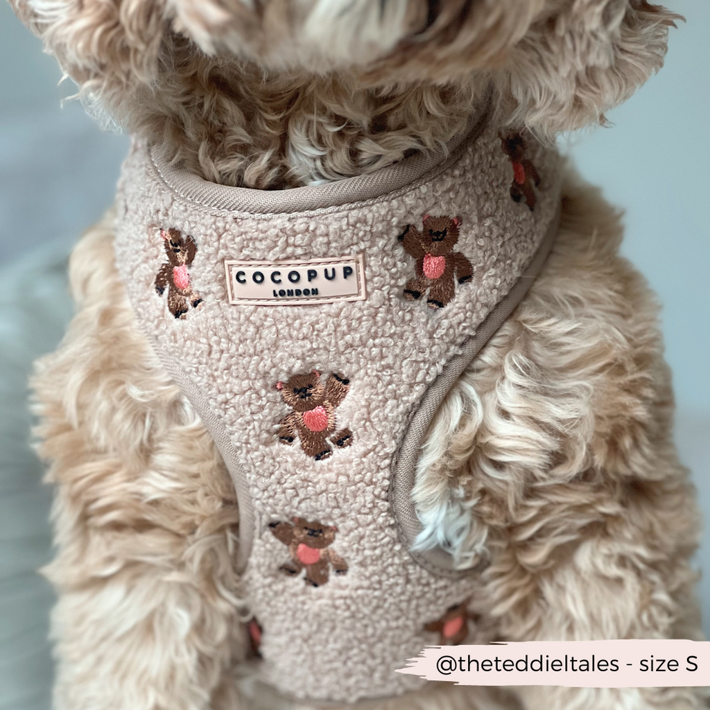 Embroidered Teddy Adjustable Dog Harness product image 8