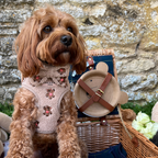 Embroidered Teddy Adjustable Dog Harness product image 9