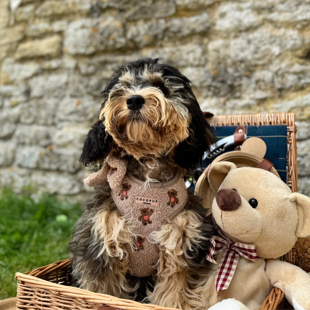 Embroidered Teddy Adjustable Dog Harness product image 11