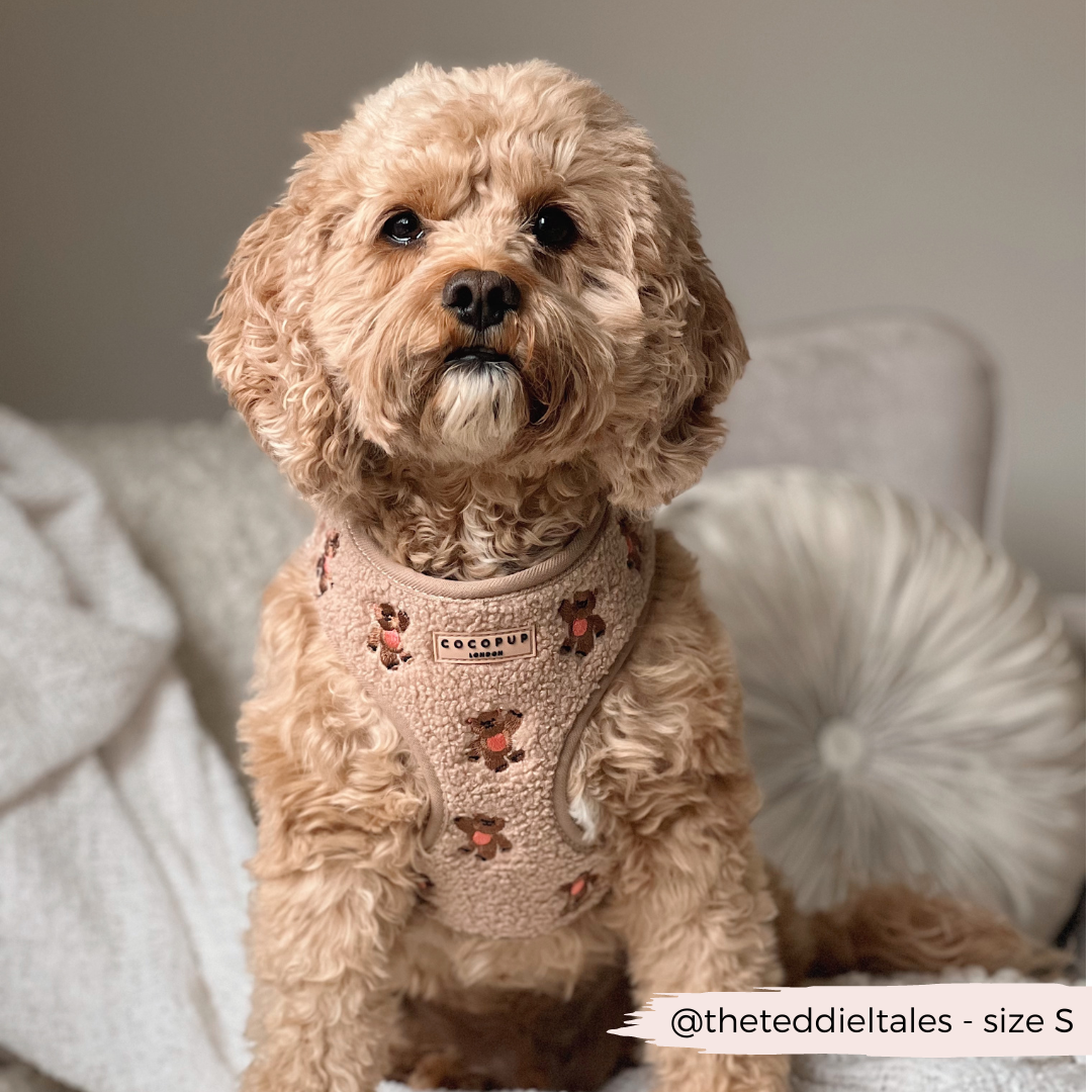 Embroidered Teddy Adjustable Dog Harness product image 13