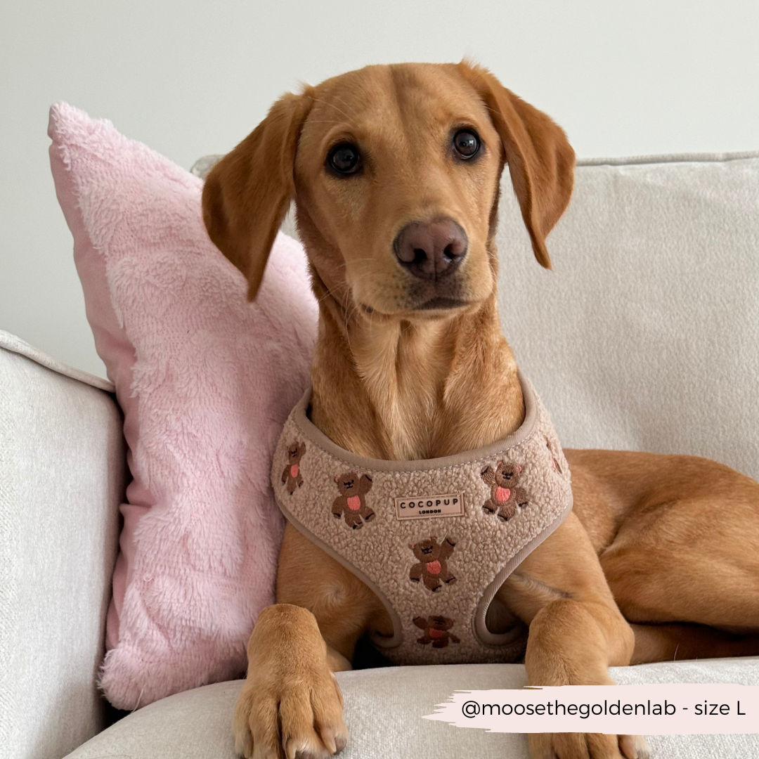 Embroidered Teddy Adjustable Dog Harness product image 15