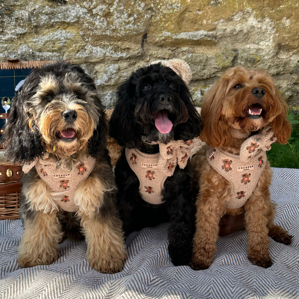 Embroidered Teddy Adjustable Dog Harness product image 16