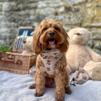 Embroidered Teddy Adjustable Dog Harness product image 19