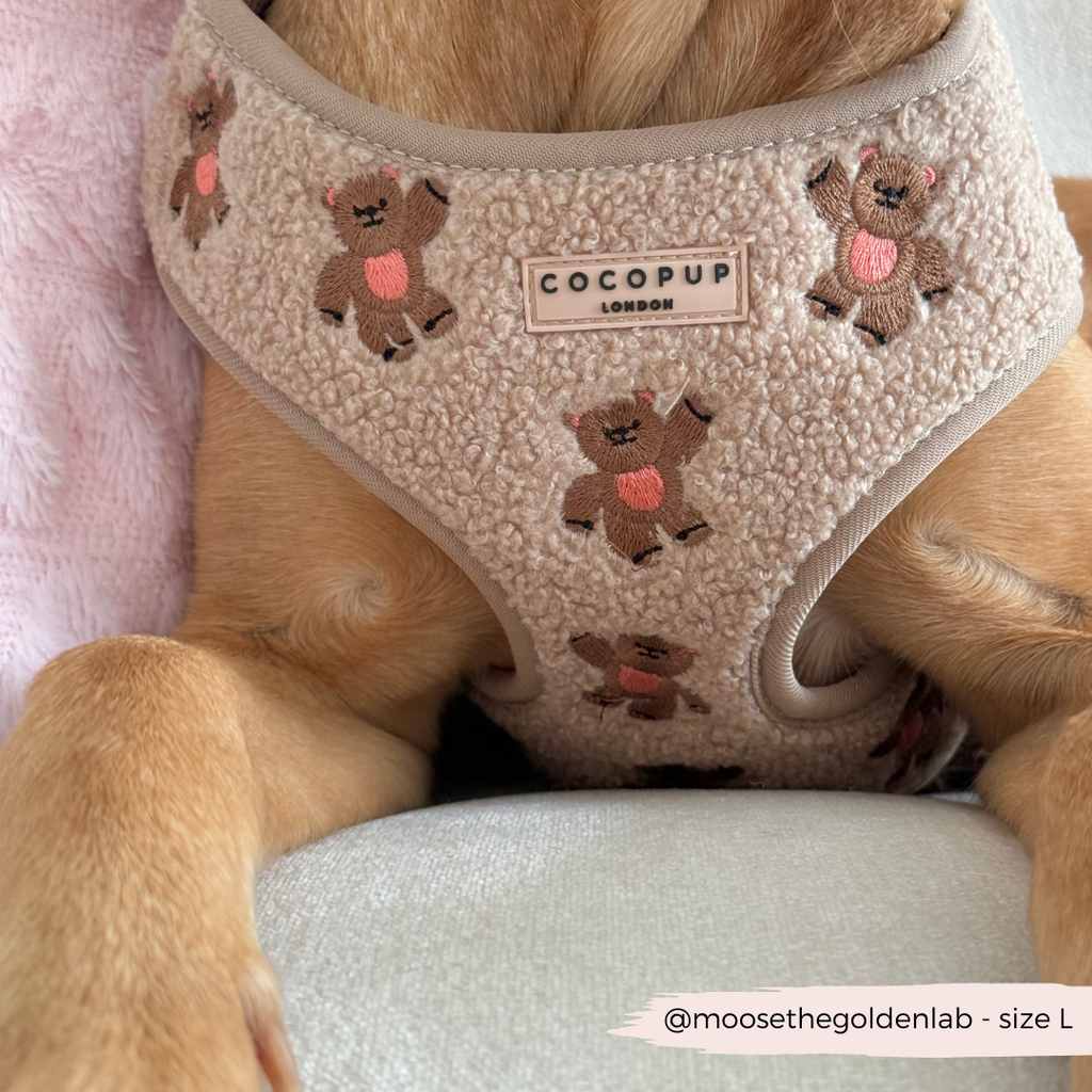 Embroidered Teddy Adjustable Dog Harness product image 24