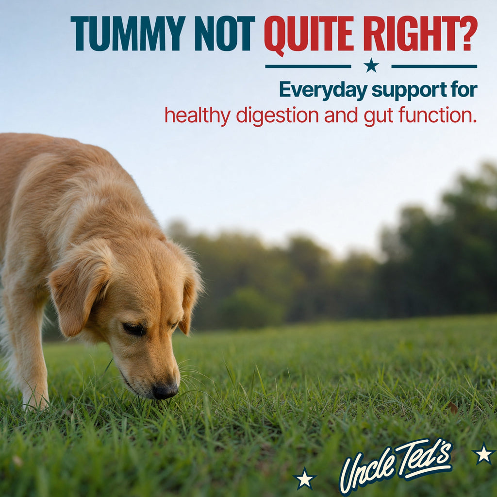 Uncle Ted's Daily Canine Chews - 2 Month Supply