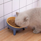 Raised Pet Bowl product image 1