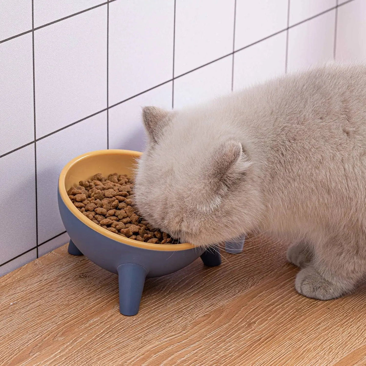 Raised Pet Bowl product image 1