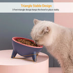 Raised Pet Bowl product image 4