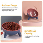 Raised Pet Bowl product image 6