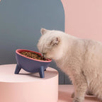 Raised Pet Bowl product image 7