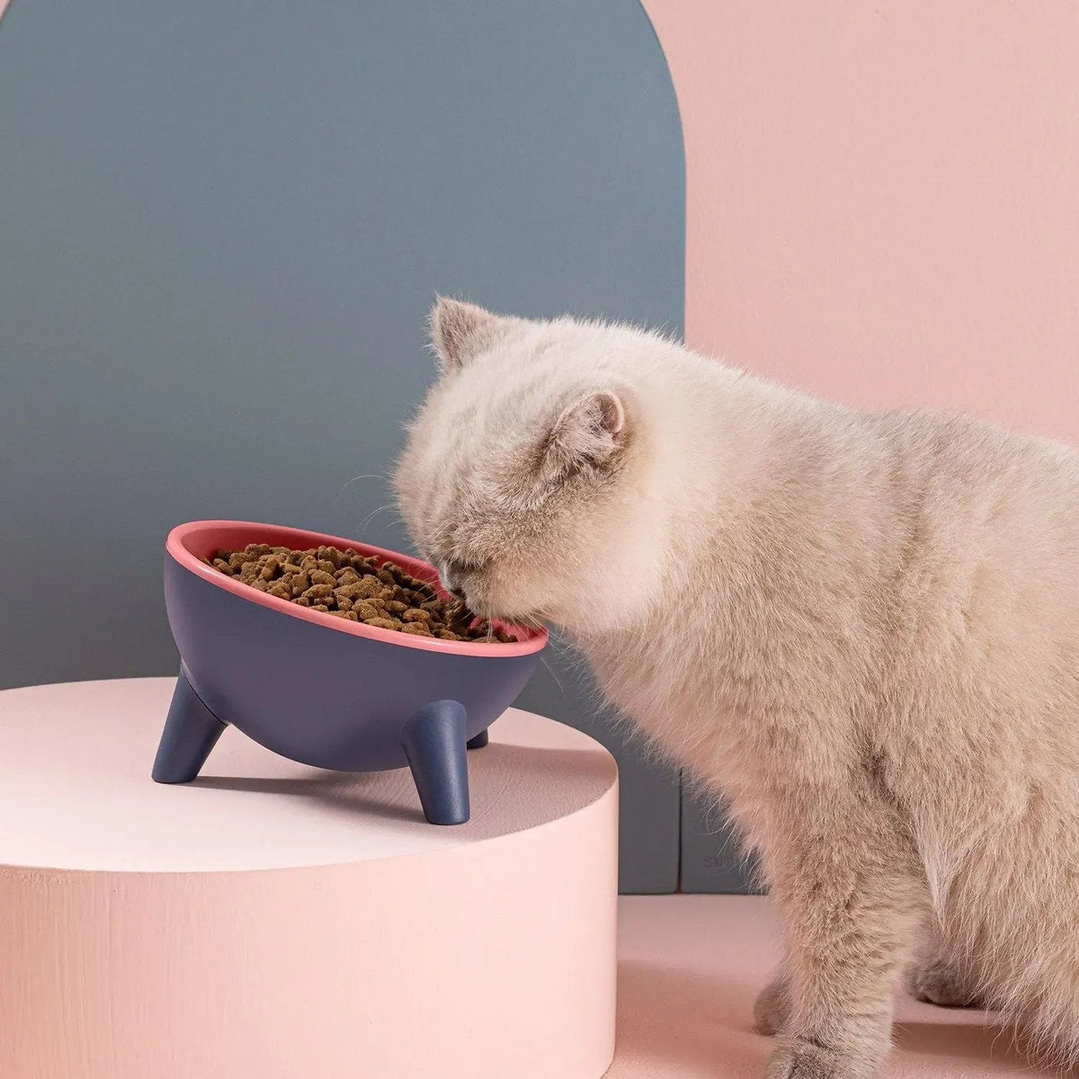 Raised Pet Bowl product image 7