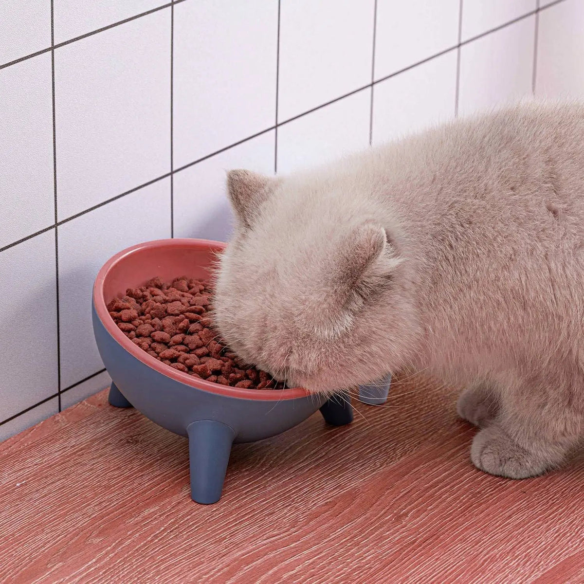 Raised Pet Bowl product image 8