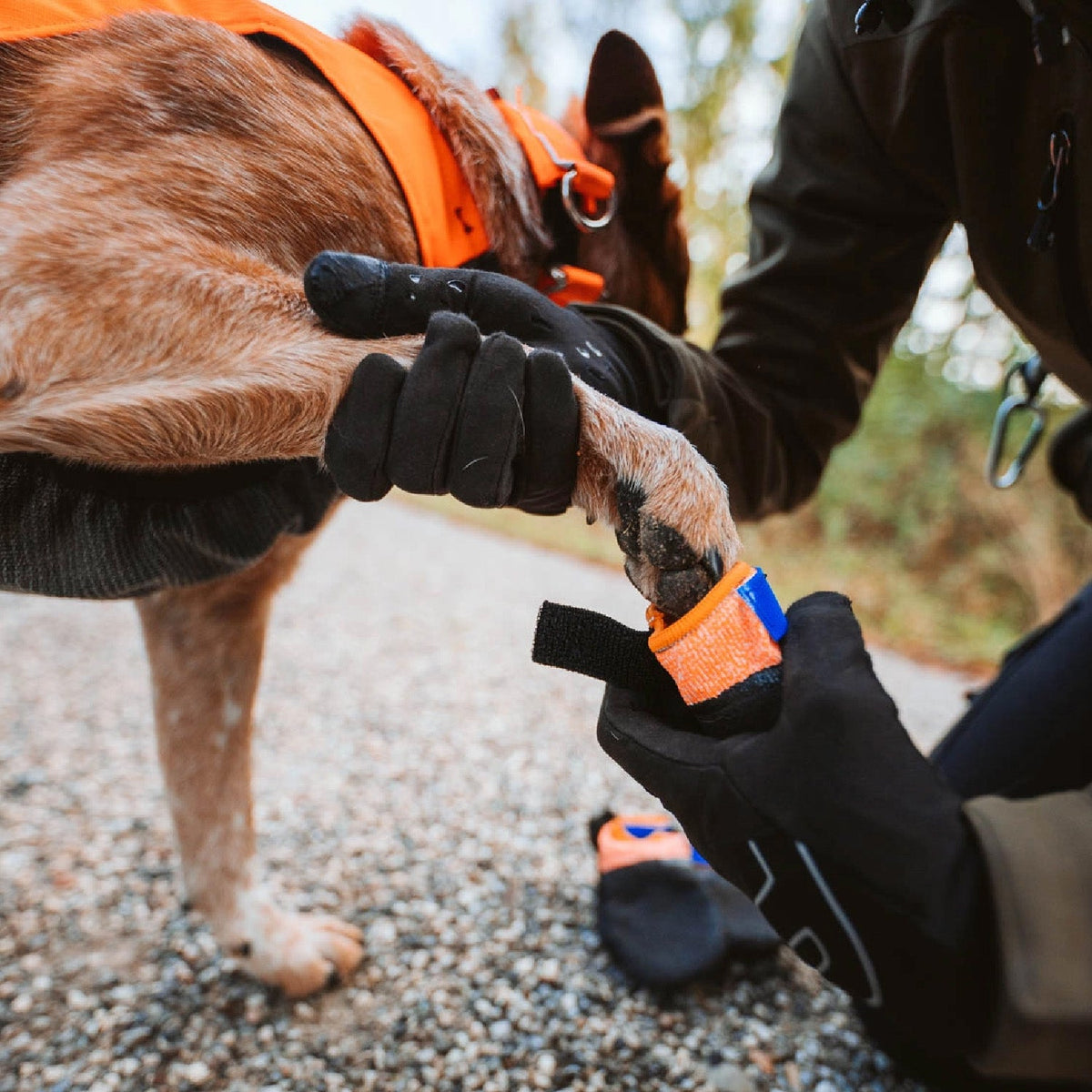 Dog Booties product image 1