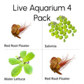 Live Floating Plants product image 1